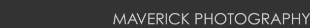 maverick - toronto wedding photography